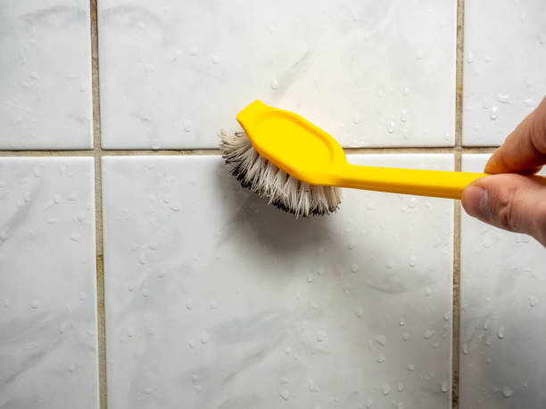 Matamoras, OH Mold Remediation Company